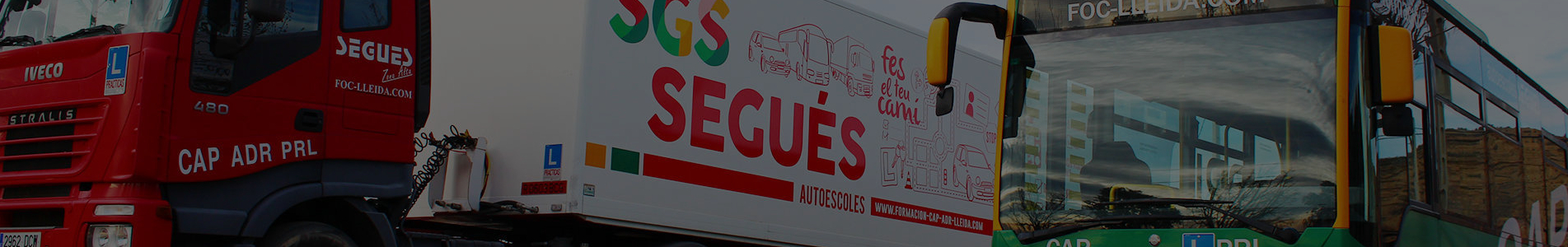Profesionales